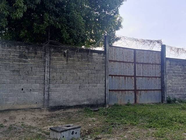 #1 - Galpón para Venta en Agua Blanca - P